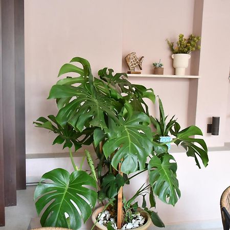 Casa Enetiko Ξενοδοχείο Χανιά Εξωτερικό φωτογραφία