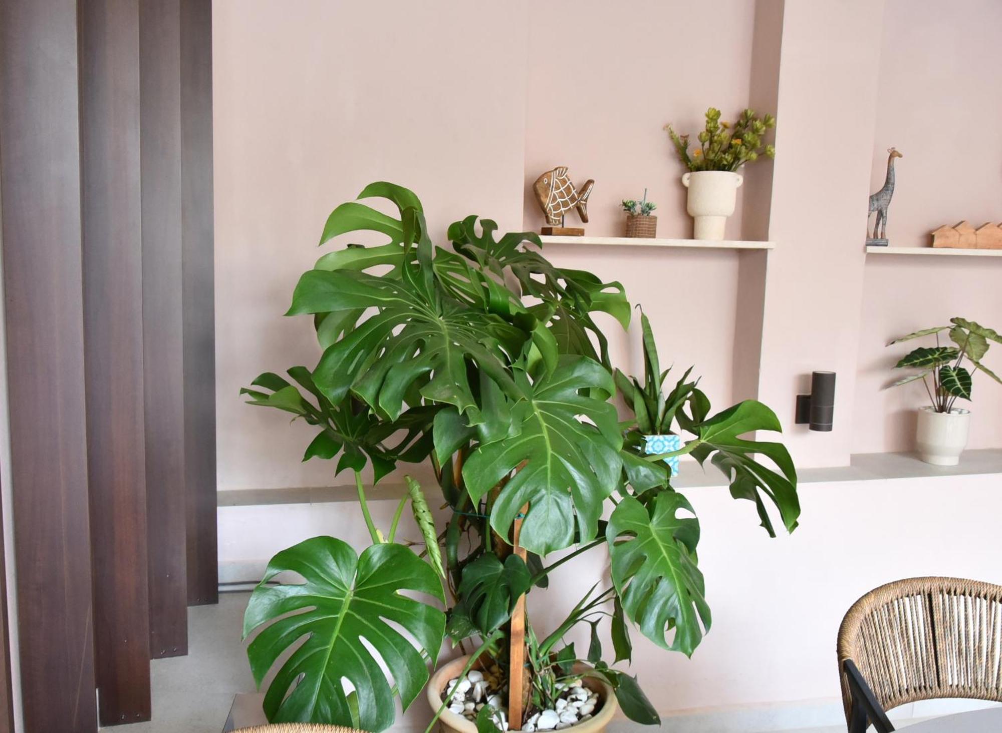 Casa Enetiko Ξενοδοχείο Χανιά Εξωτερικό φωτογραφία